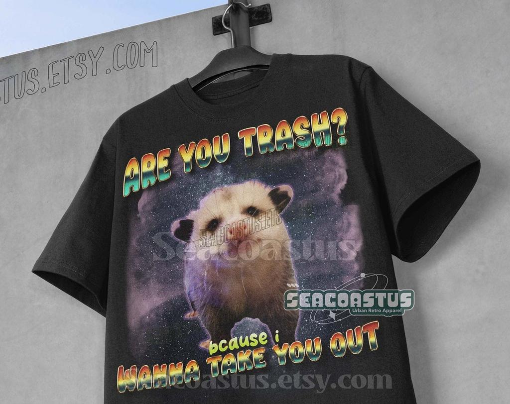 I Wanna Take You Out Possums Meme Vinatge Shirt, Retro Opossum Lover Tshirt, Funny Raccoon Tee, Raccoon meme, Possum Gifts