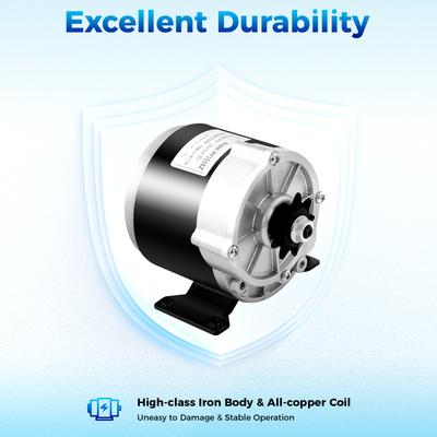 High Torque 24V 350W Electric Vehicle Geared Motor, 300 RPM, Copper Coil, Iron Housing, Durable for E-Bike & Scooter Upgrades