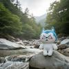 Adorable Style HuskyLang Stuffed Doll Soft Material Stuffed Animal Pillow  Girls Gift