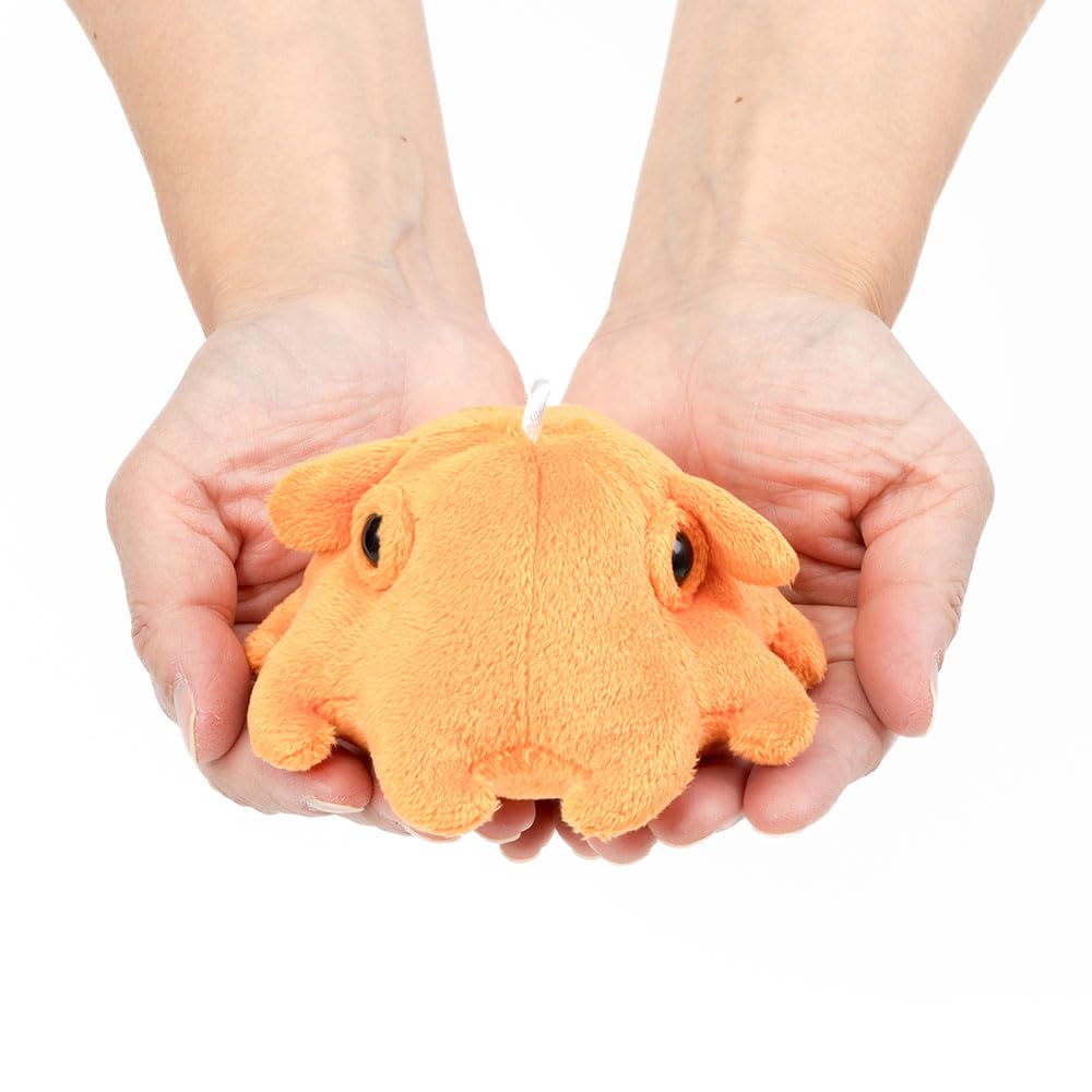 [COLORATA] Calorata Plush Mascot Octopus (Realistic Deep-Sea CreatureWith Chain) Keychain Doll Gift (Twice Tested)  Christmas Present