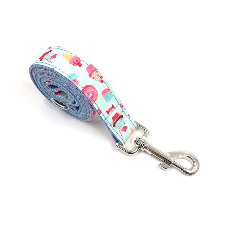 Engraved Large Dog Collar & Leash Set for Walking