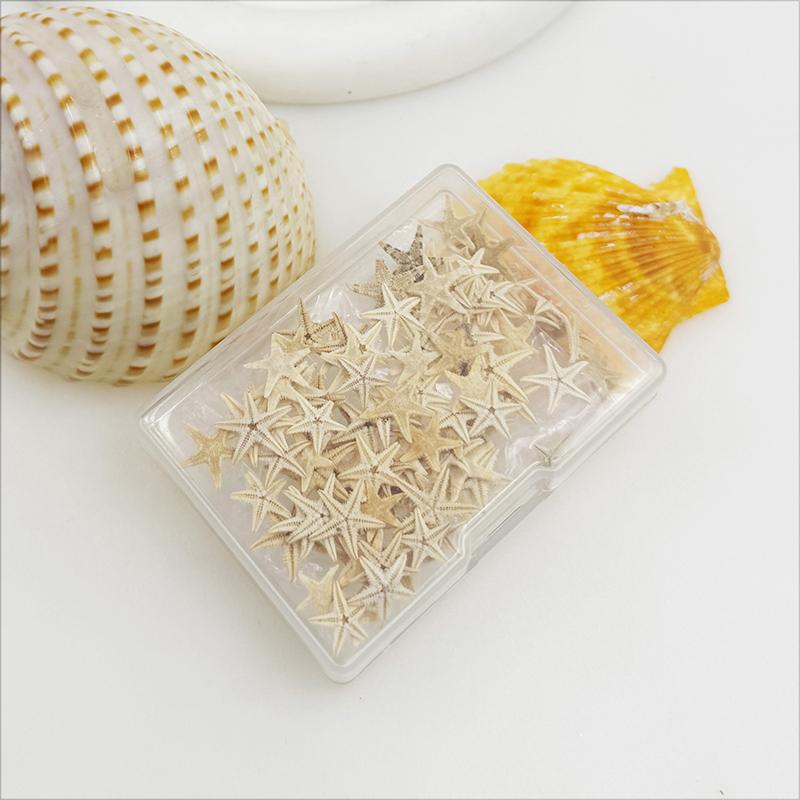 1 Box of 110pcs Tiny Sea Star Natural Starfish Seashell Ocean Theme Ornament for DIY Beach Wedding Decoration Fish Tank Decor