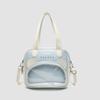Female Bag Cartoon Cute Panda Pop Transparent Pain Bag Soft Sister Crossbody Bag