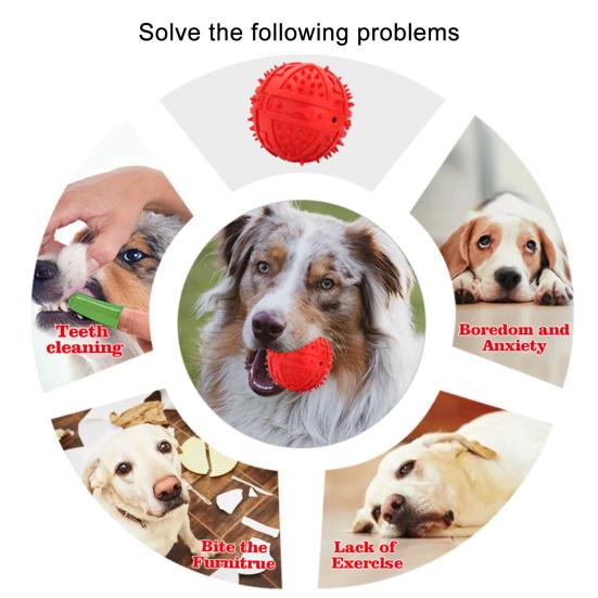 Dog Squeaky Toy Comfortable High Toughness Wear Resistant Small Medium Large Dog Interactive Ball Pet Training