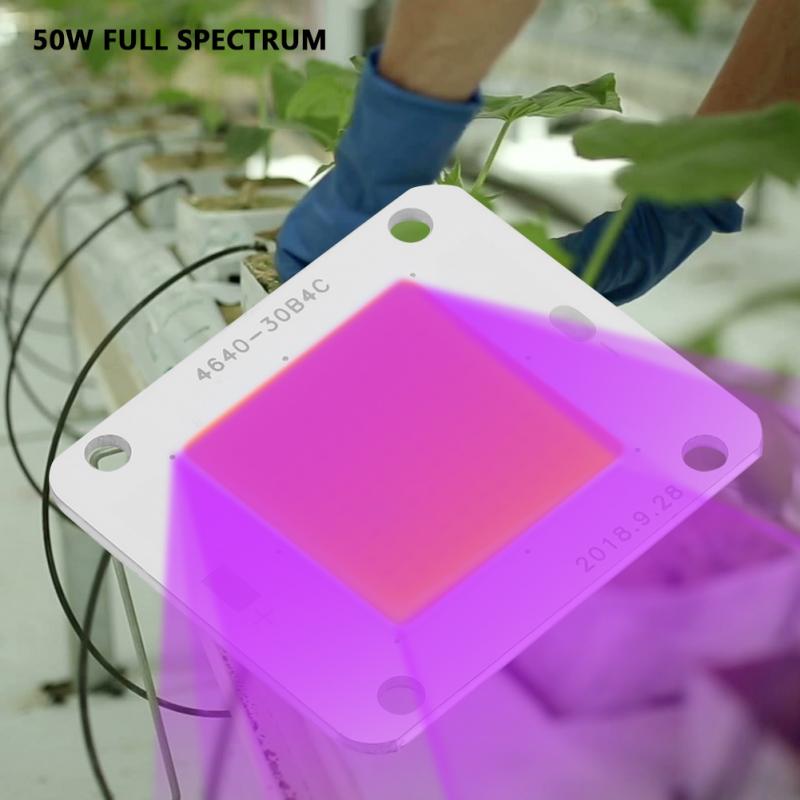 DC12V 50W COB LED Chip Full Spectrum Plant Grow Lamp Light Source