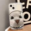 Lustige Katzen-Handyhülle Für iPhone 17 Air 16 e 15 14 13 12 11 Pro Max Plus Mini SE 2020 2022 Klare Weiche Abdeckung