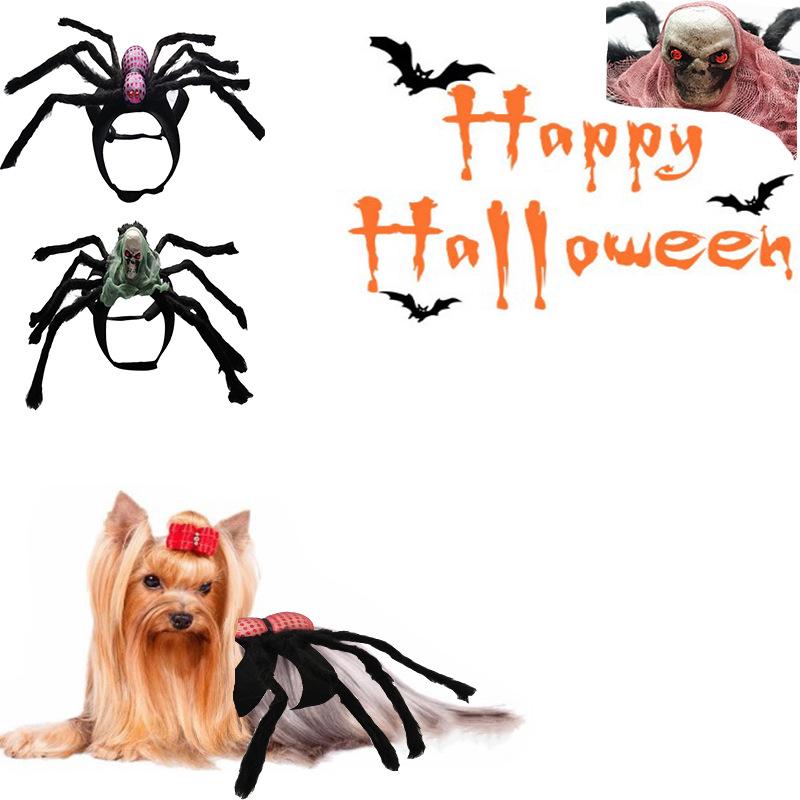 Spider and Skull Costume for Small to Medium Pets