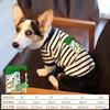 Pet Corgi Dog Clothes Spring and Autumn Clothing Anti-hair Loss Teddy Bichon Shiba Inu Small Dog Two-legged Striped Sweater Winter