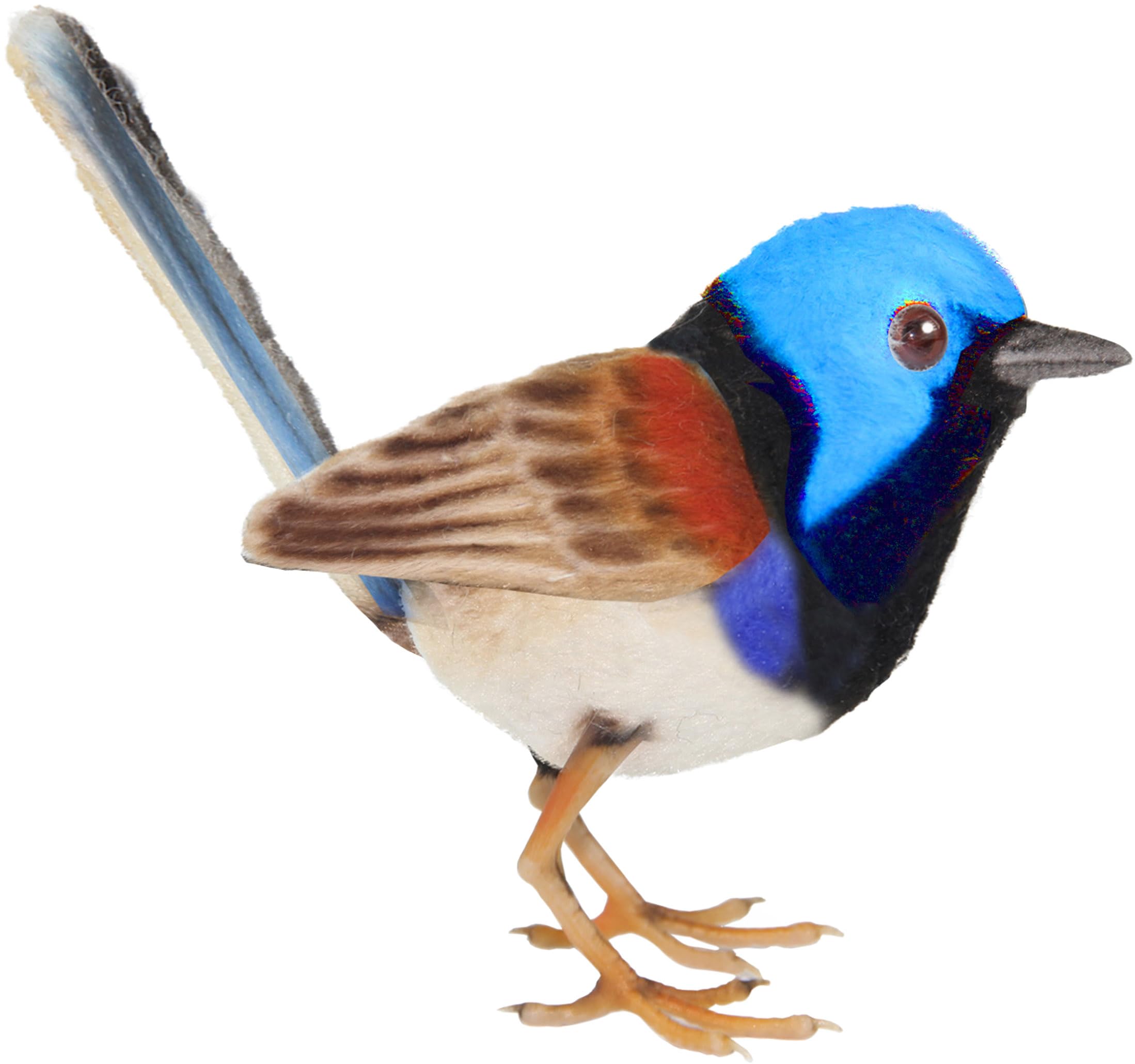 

BH8410 HANSA Золотогрудый певунчик 12