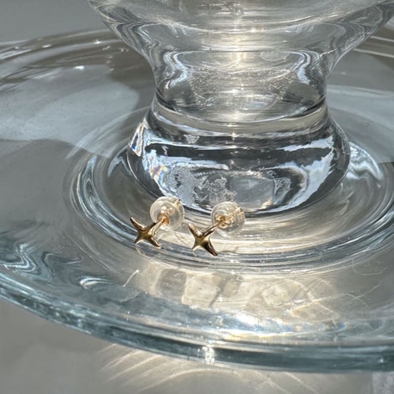 

youngglow 14k sparkling earrings (1 pair) White gold (pair) (10,000 won)