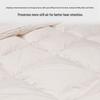 Yier Yia Swan Castle 90% White Duck Down Winter Duvet