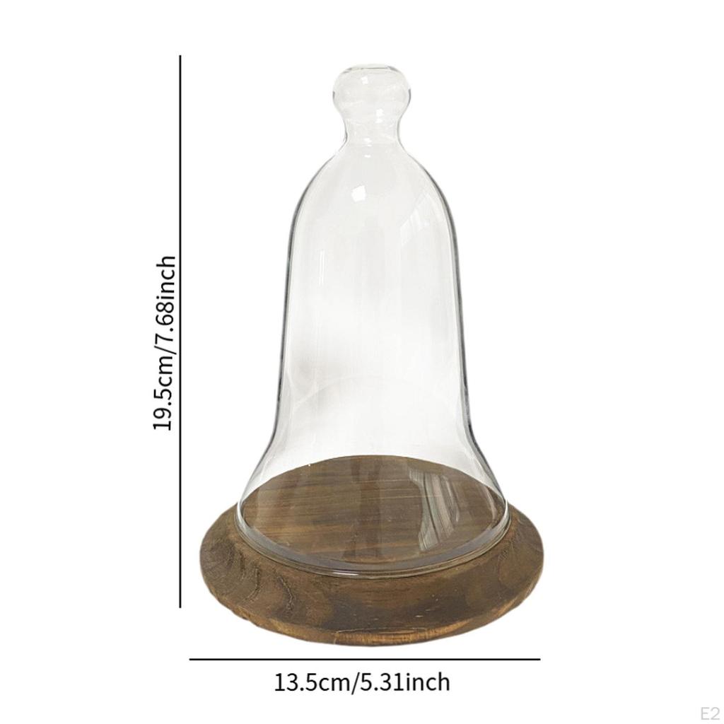 Clear Glass Dome, Display Dome ,Decorative Case Container, Preserved