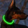 LED-Hundehalsband, leuchtendes USB-Hundehalsband für Katzen, 3 Modi, LED-Licht, leuchtendes Verlustpräventions-LED-Halsband für Hunde, Haustier-Hundezubehör