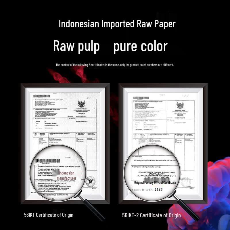 Deli 7758 A4 80g Colored Copy Paper