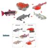 Toys Model Educational Simulated Animal Card Set Insect Plant Growth Cycle Cognitive Montessori Parish Home Open Learning Kids