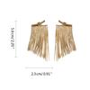 Chic Metal Hangings Earrings Fashionable Fringe Earrings Long Tassels Ear Rings Accessories Stylish Earwear for Women
