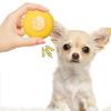 Köpek – Köpek oyuncakları
