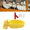 10Pcs Automatic Waterers Yellow Drinking Cups Bowl for Quail Chicken Birds Large Size