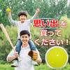 Premism Vinyl Baseball Balls - Colored Balls [Made In Japan] - Soft, for Children - Light Blue, Yellow, Pink, Green (12 Balls Per Package)