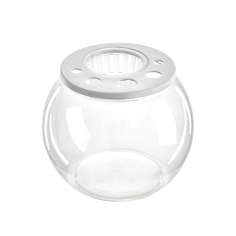 Plastic Turtle Aquarium Transparent Turtle Terrarium Small Clear Fish Tank  Aquarium Setup