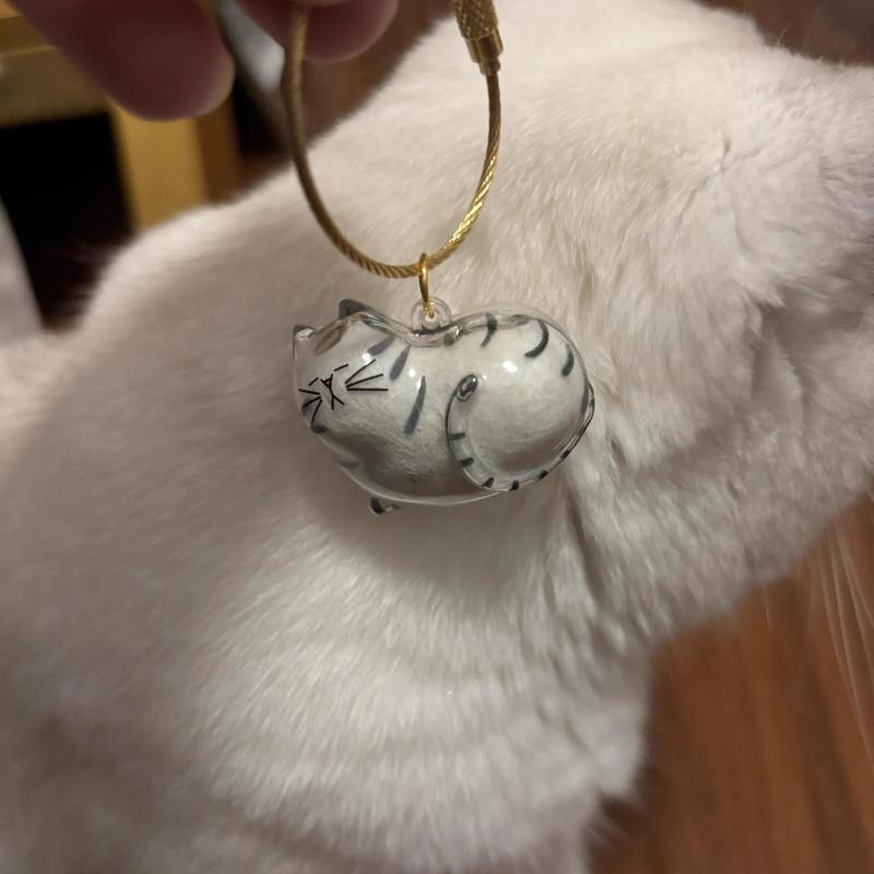 3Pcs My Pet'S Fur Container Cat Hair Storage Box Hanging Cat Keychain Pendant Pet Hair Grooming Souvenirs Bag Hanging Decor