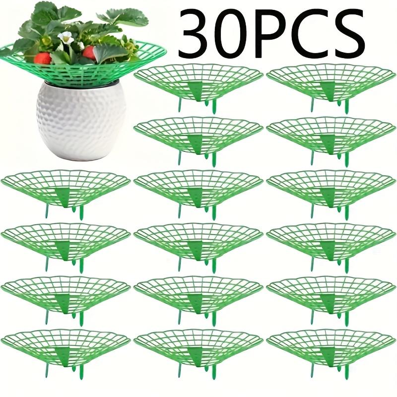 30pcs Durable Green Plastic Strawberry Plant Support Stands | Gardening Trellises for Safe and Healthy Strawberry Development | Home Gardening