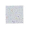 Stationery Moomin Square Memo Pad 80th Anniversary S2848864 Sun-Star