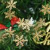 Multi-color Christmas Snowflakes Confetti Glitter Snowflake Sequins Artificial Snowflakes  Party