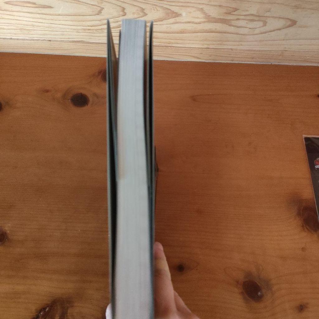 [USED] Twisted Wonderland Prefect's Must-Read Book Clear File