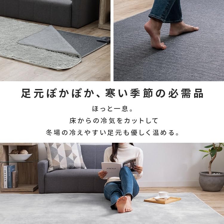 Energy-Saving TEKNOS Electric Carpet, 1 Tatami Mat (90x180cm), with Dust Mite Repellent, Compact Storage, Gray