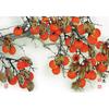 1000 Piece Jigsaw Puzzle - Persimmon Tree, Popular Korean Puzzle