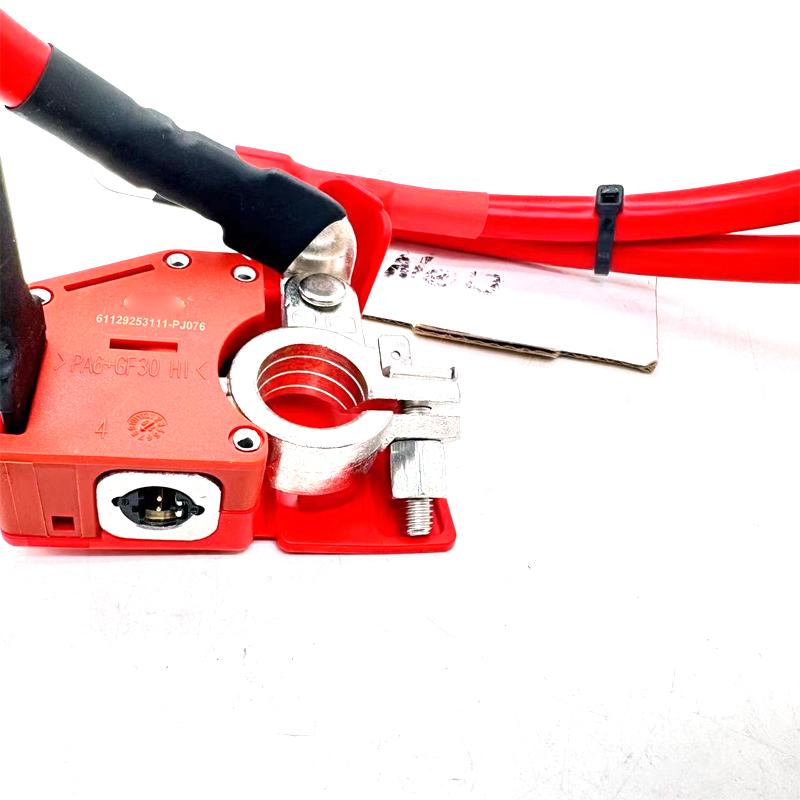 61129253111 High Quality Positive Battery Fuse Connection Cable For BMW 1 2 3 Series M2 F20 F21 F22 F23 F87