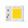 20W Power COB LED Chip 220V Spannung Hochspannungs-LED-Chip Kompakter LED-Chip Lichtquelle Glühbirne Lampe