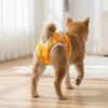 Hunde – Hundepflege-Artikel