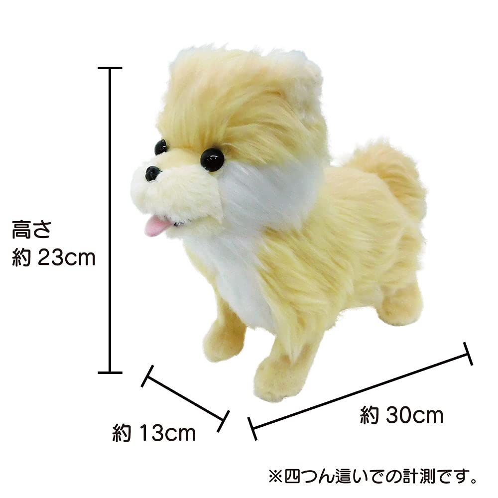 Broadwatch Mówiący, ruszający się, śpiewający Kocham historie Pomorski pies-robot, który potrafi rozmawiać i tańczyć. Pluszak z obrożą. Ekscytujący