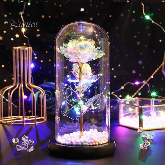 No Maintenance Flower Gift Rose Gifts for Her Mom Wife Grandma Light Up Eternal Lasting in A Dome Romantic Anniversary Birthday Valentine's