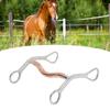 Durable Horse Breaking Bit Stainless Steel Horse Snaffle Bit Easy To Install Horse Mouth Bit Farm