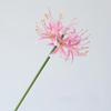 Wedding Decorative Artificial Flowers Silk Red Spider Lily Hall Decoration Simulation Flower 67cm Pink Red Spider Lilies Branch