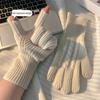 Wool Blend Knitted Gloves Unisex Winter Touchscreen Gloves Windproof Warm Driving Texting Daily Finger Gloves for