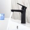 TLXT Black Stainless Steel Basin Faucet