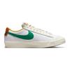 Nike Blazer Low 77 GS Summer Fruits Kids Sneakers White Malachite Sail DQ5088-131