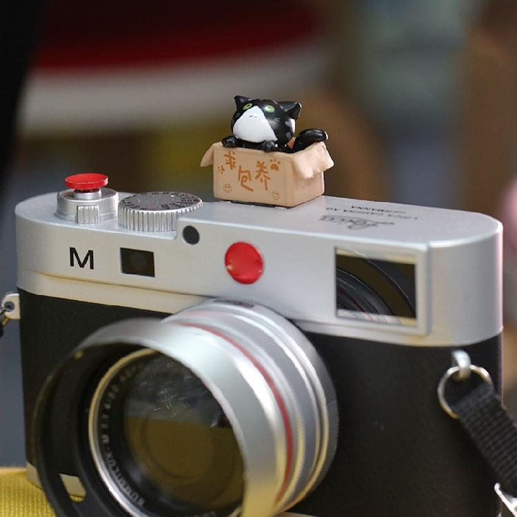 3D kreslený kryt sáněk fotoaparátu Roztomilý pro kočku DSLR Prachotěsný kryt sáněk pro DS