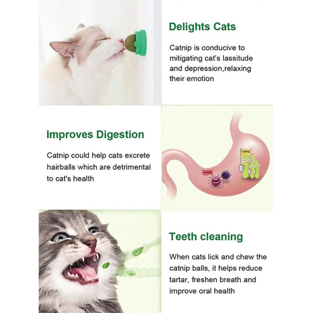Katzenminze Bälle Lustiger Leckbarer Katzensnack Katzenminze Bälle Kätzchen Spielen Kauen Zähne Putzen Spielzeug Für Kleine Mittlere Katzen Haustierbedarf