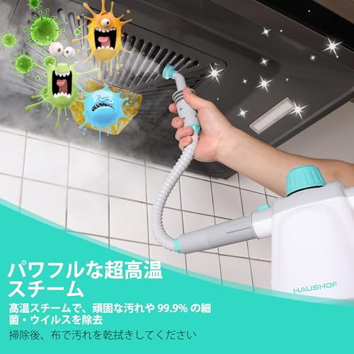HAUSHOF [2025 Model] Steam Cleaner, Compact Steam Cleaner, High-Temperature Steam Cleaner with Boiler Heating, Handheld Steam Cleaner with 8 Attachmen