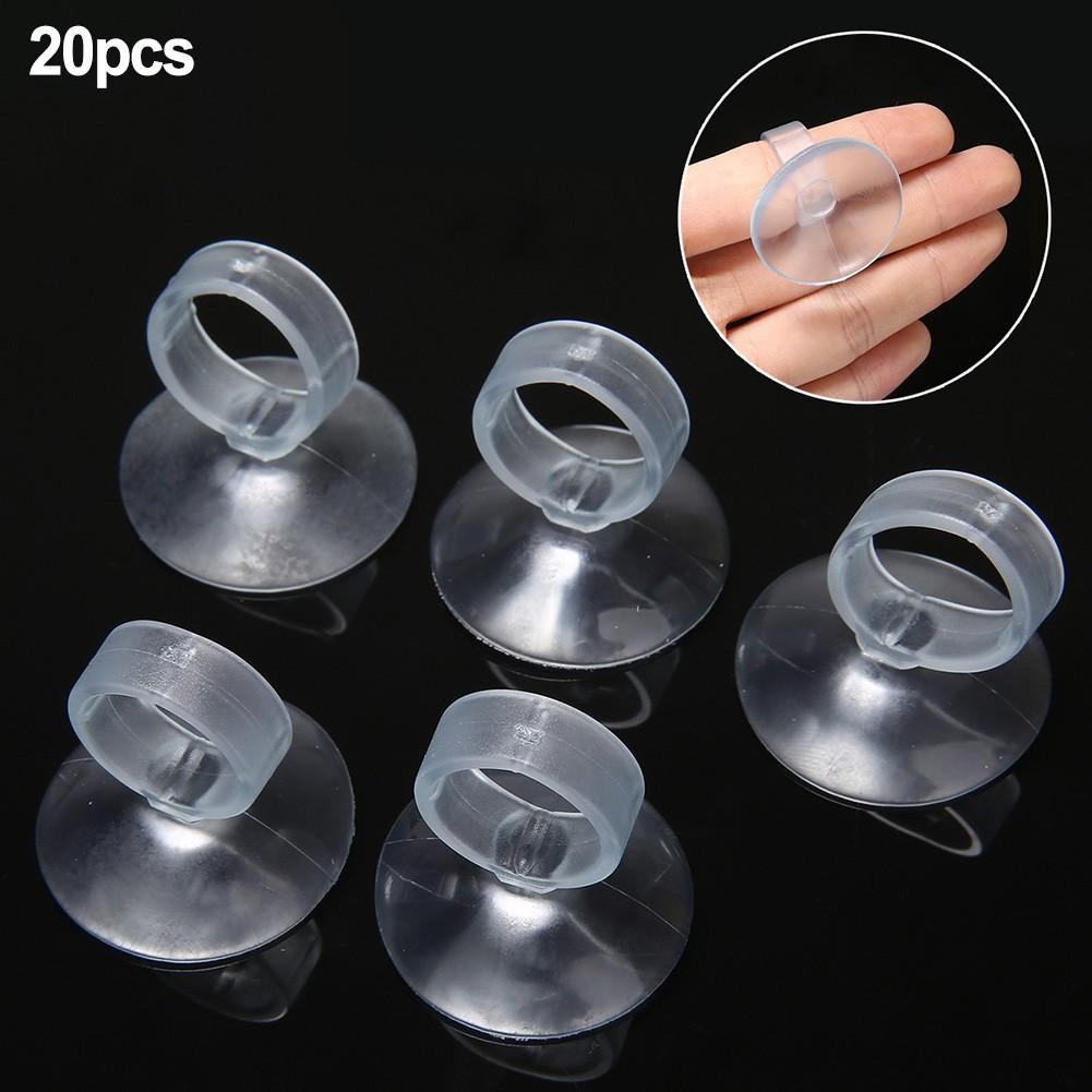 Office Plant Holder Reusable Strong Suction Tillandsia Stands