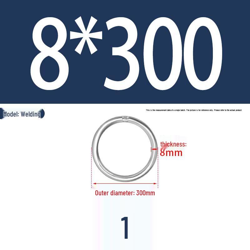 304 Stainless Steel Seamless O-Ring for Lifting and Hammock Yoga Connection