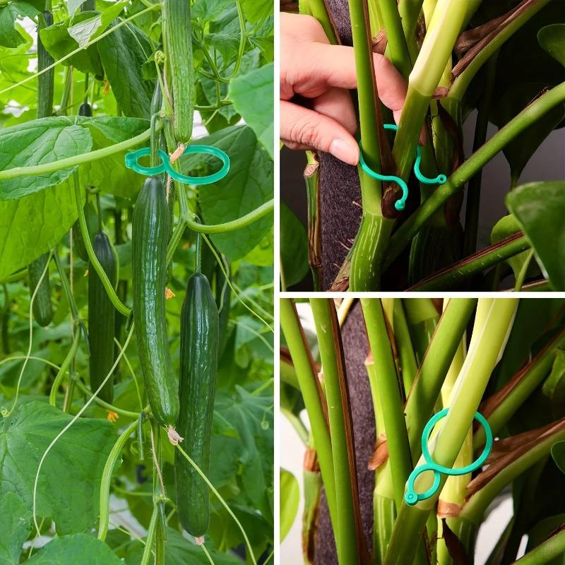 5-50PCS Plant Clips for Climbing Plants, Horticultural Clips for Tomato Plants, Vegetable Clips for Supporting and Fixing Plants