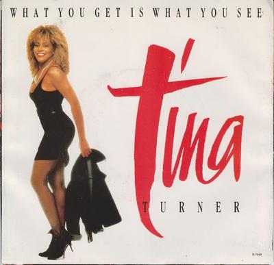 7inch Record TINA TURNER - What You Get Is What You See B5668 CAPITOL 1987 Canada Dance & Electronica Used