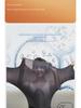 High Collar Hyaluronic Acid Moisturizing Women's Suit for Autumn/Winter - Ultra-Thin & Invisible Warm Base Layer.