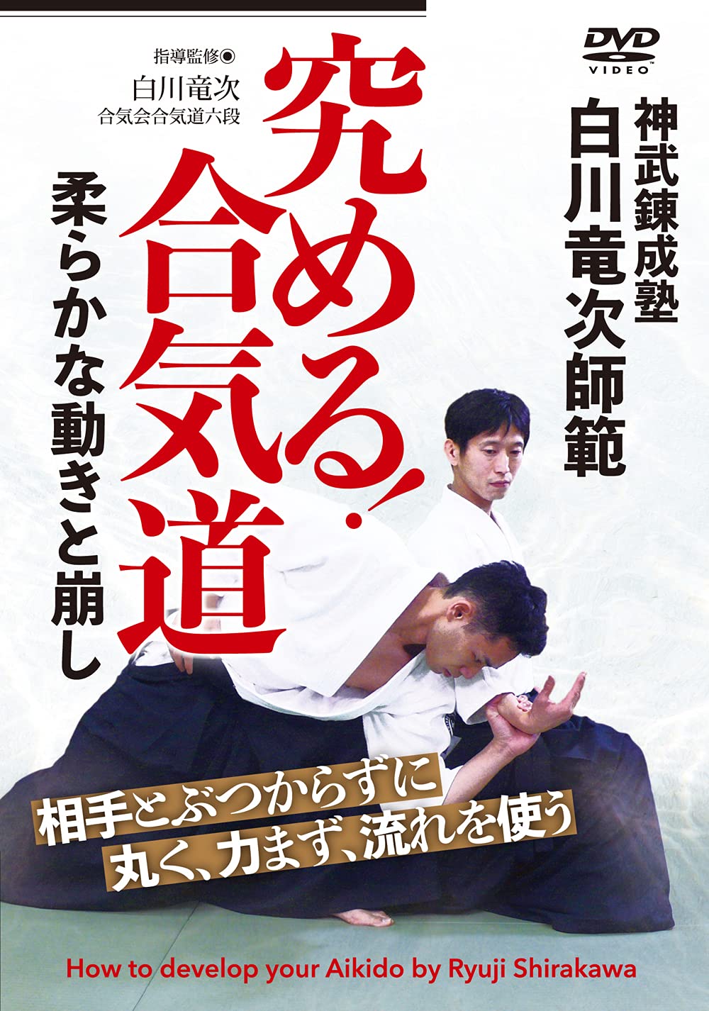 Master Ryuji Shirakawa s  Mastering Aikido: Soft Movements and Breaking Techniques  [DVD]